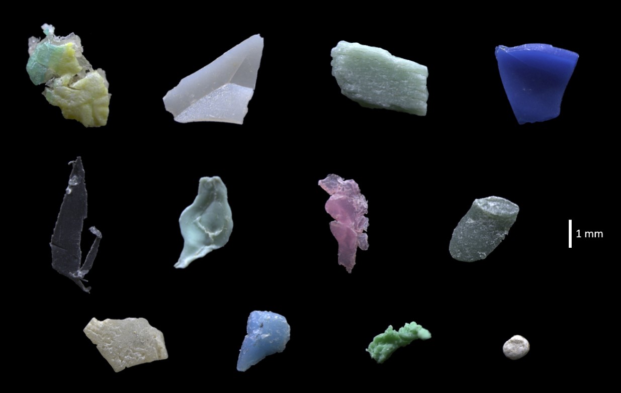 Photo by Nada Abdelkader